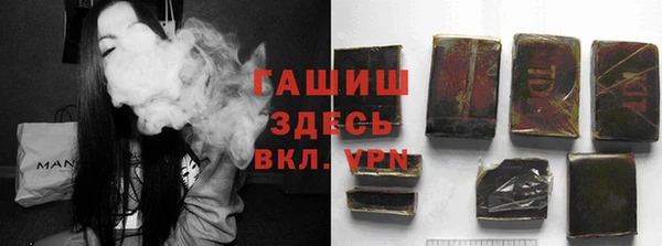 хмурый Арсеньев