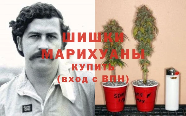 мескалин Алексин