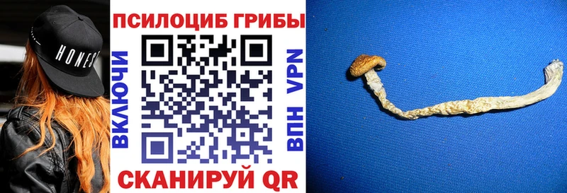 Купить закладки  Тихвин  Галлюциногенные грибы GOLDEN TEACHER 